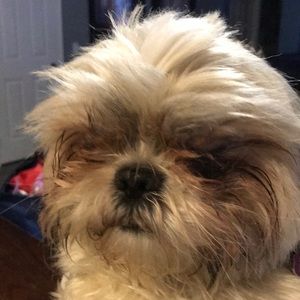 Meet your Posher, Luisa